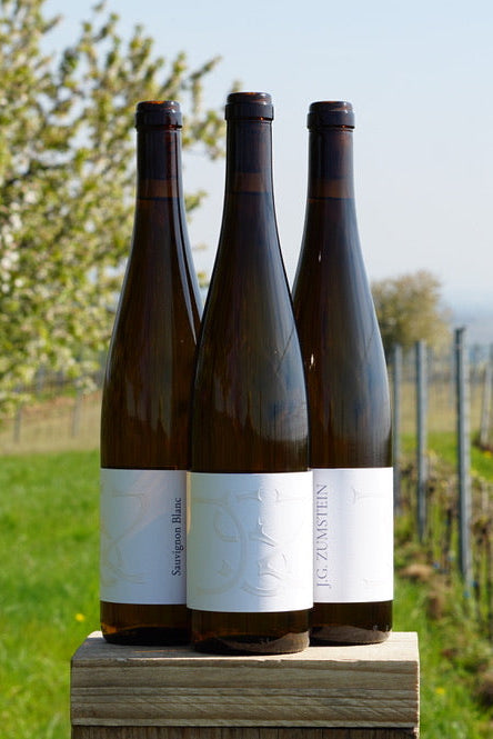 2024er Sauvignon Blanc